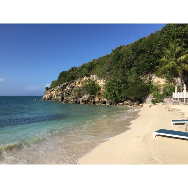 รูปถ่าย กวาเดอลูป(Guadeloupe) หาดลาการาแวล(La Caravelle Beach) 2021-02 62