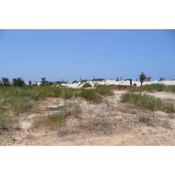 รูปถ่าย อิสราเอล(Israel) นิทซาน(Nitzan) 2007-06 80
