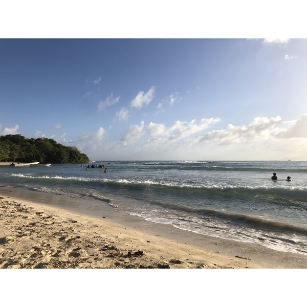 รูปถ่าย กวาเดอลูป(Guadeloupe) หาดปตีอาฟวร์(Petit Havre Beach) 2021-02 10