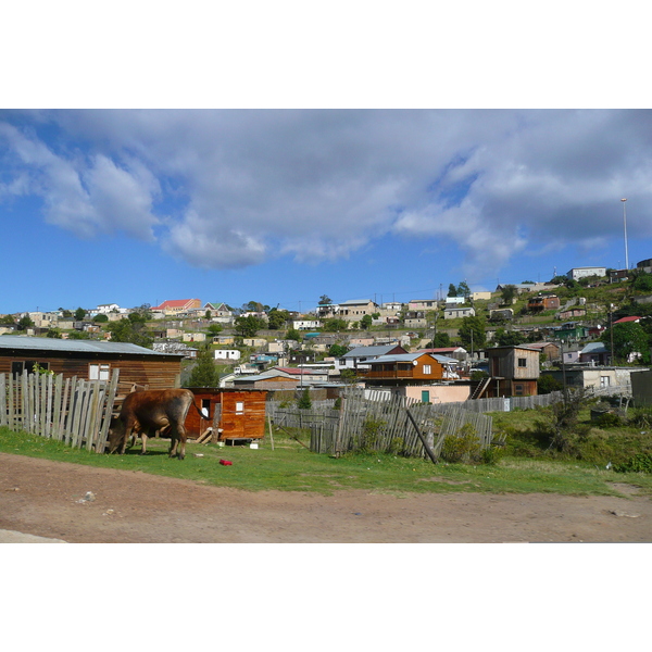 รูปถ่าย แอฟริกาใต้(South Africa) ไนส์นา(Knysna) 2008-09 89
