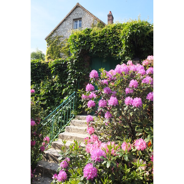 รูปถ่าย ฝรั่งเศส(France) ฌีแวร์นี(Giverny) 2013-06 51