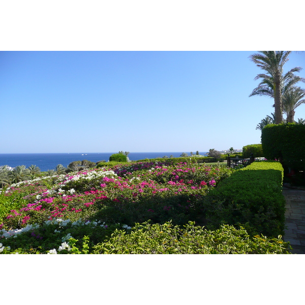 รูปถ่าย อียิปต์(Egypt) ชาร์มเอลชีค(Sharm el Sheikh) โรงแรมโฟร์ซีซันส์(Four Seasons Hotel) 2008-06 13