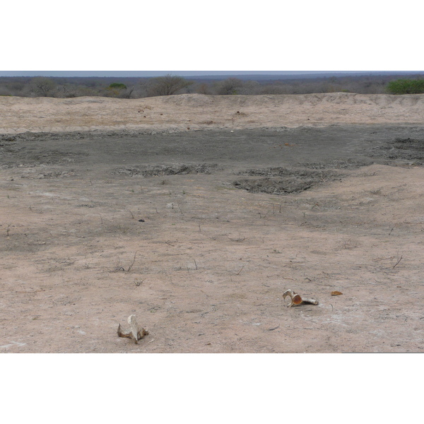 รูปถ่าย แอฟริกาใต้(South Africa) อุทยานแห่งชาติครูเกอร์(Kruger National Park) 2008-09 0