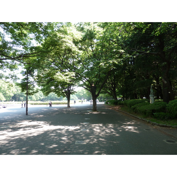 รูปถ่าย ญี่ปุ่น(Japan) โตเกียว(Tokyo) อุเอโนะ(Ueno) 2010-06 17