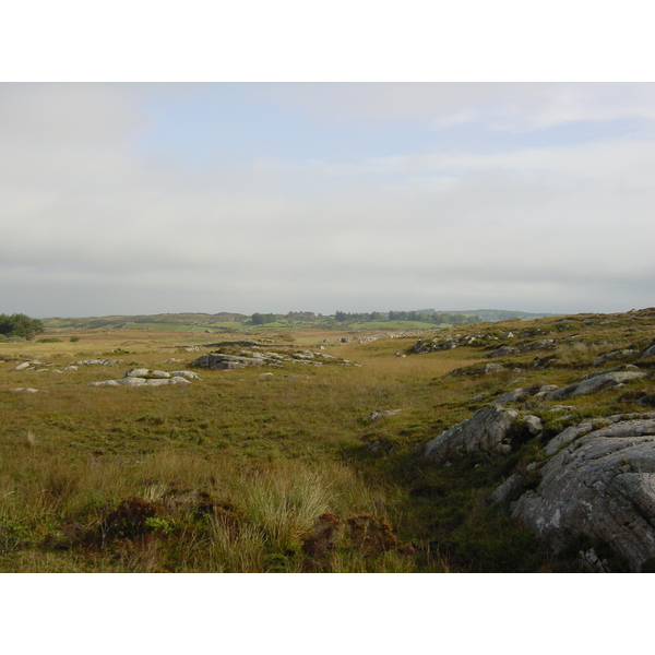 รูปถ่าย ไอร์แลนด์(Ireland) คอนเนอมารา(Connemara) 2003-09 34