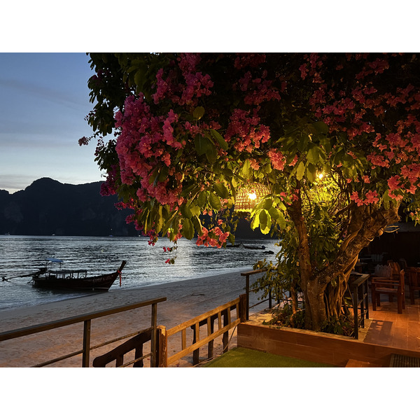 รูปถ่าย ไทย(Thailand) เกาะพีพีดอน(Ko Phi Phi Don) 2021-12 56