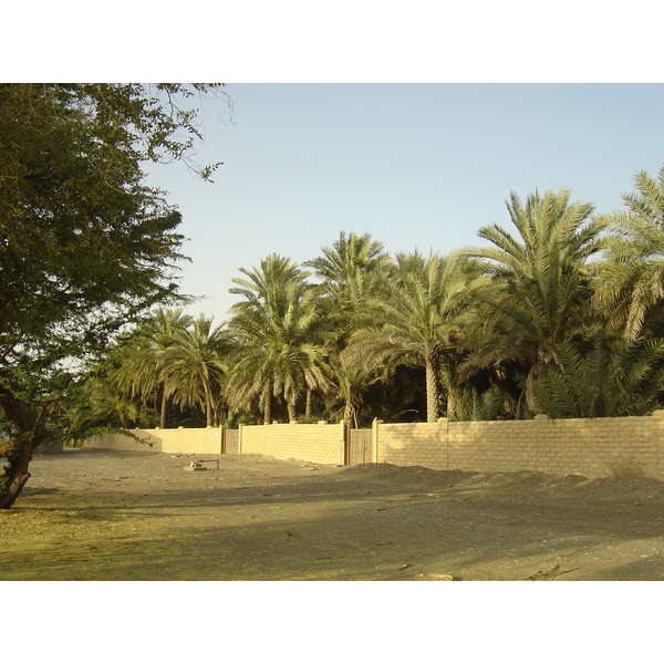 รูปถ่าย สหรัฐอาหรับเอมิเรตส์(United Arab Emirates) อาเลอิน(Al Ain) โอเอซิสอัลไอน์(Al Ain Oasis) 2005-03 40