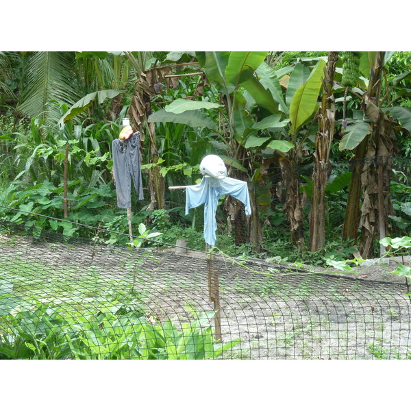 รูปถ่าย เซเชลส์(Seychelles) เกาะลาดีก(La Digue) 2011-10 231