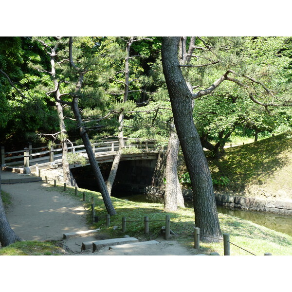 รูปถ่าย ญี่ปุ่น(Japan) โตเกียว(Tokyo) สวนฮามะริคิว(Hama rikyu Gardens) 2010-06 112
