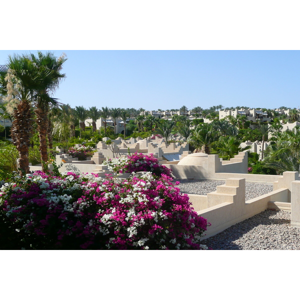 รูปถ่าย อียิปต์(Egypt) ชาร์มเอลชีค(Sharm el Sheikh) โรงแรมโฟร์ซีซันส์(Four Seasons Hotel) 2008-06 14