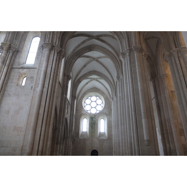 รูปถ่าย โปรตุเกส(Portugal) อัลโกบาซา(Alcobaca) 2013-01 149
