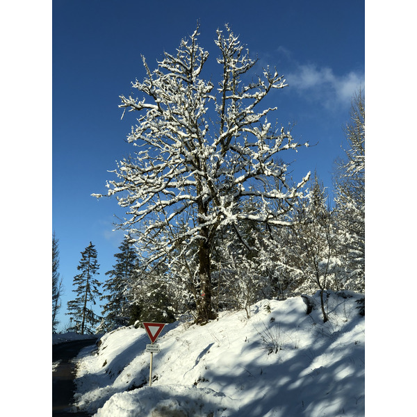 รูปถ่าย สวิสเซอร์แลนด์(Switzerland) ครองส์-มงตานา(Crans Montana) 2020-12 255