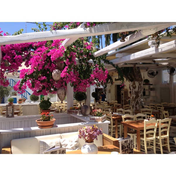 รูปถ่าย กรีก(Greece) เกาะมิโคนอส(Mykonos) 2014-07 325