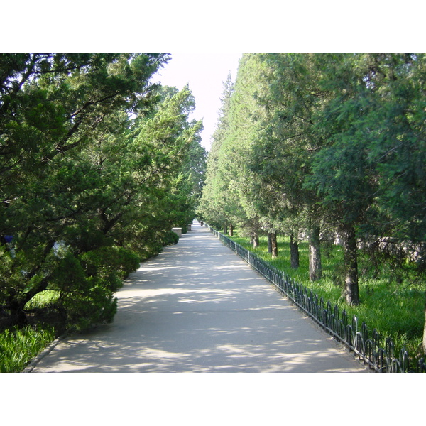 รูปถ่าย จีน(China) ปักกิ่ง(Beijing) วัดแห่งสวรรค์(Temple of Heaven) 2002-05 54