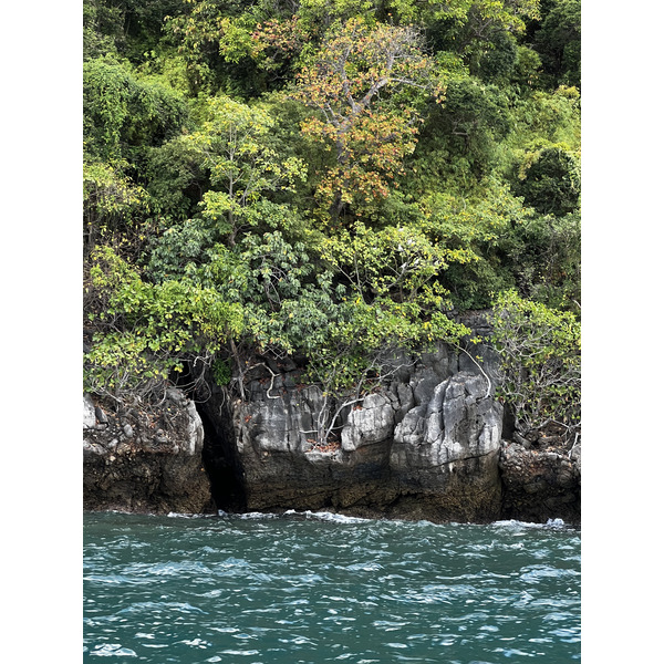 รูปถ่าย ไทย(Thailand) เกาะพีพีเล(Ko Phi Phi Ley) 2021-12 82