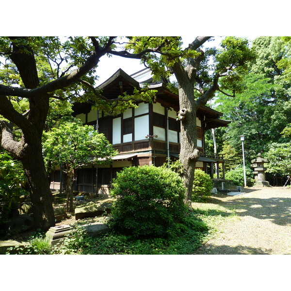 รูปถ่าย ญี่ปุ่น(Japan) โตเกียว(Tokyo) อุเอโนะ(Ueno) 2010-06 82