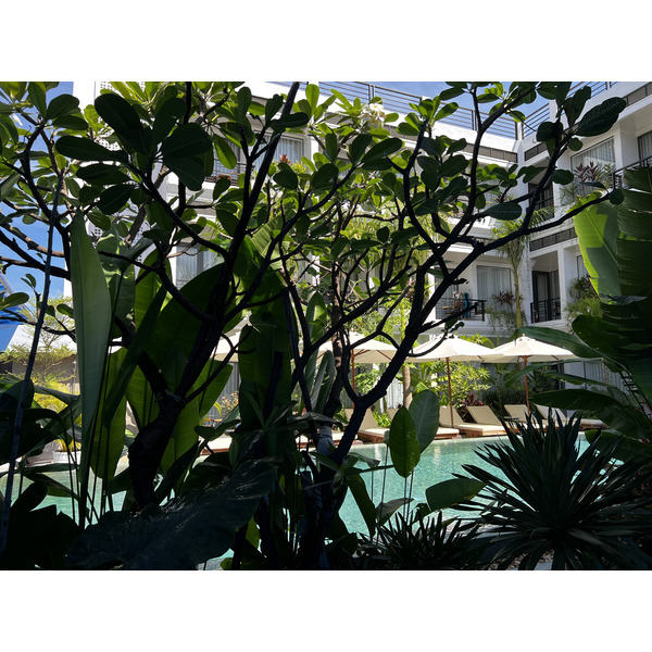รูปถ่าย กัมพูชา(Cambodia) เสียมราฐ(Siem Reap) โรงแรมบูติกขแมร์เฮาส์(Khmer House Boutique Hotel) 2023-01 32
