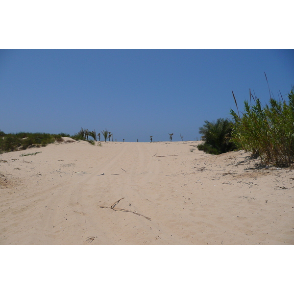 รูปถ่าย อิสราเอล(Israel) นิทซาน(Nitzan) 2007-06 18