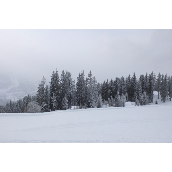 รูปถ่าย ฝรั่งเศส(France) เลทรัววาเล(Les 3 Vallees) 2013-03 369