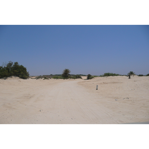 รูปถ่าย อิสราเอล(Israel) นิทซาน(Nitzan) 2007-06 34