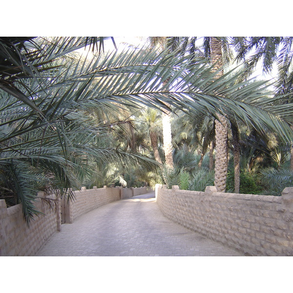 รูปถ่าย สหรัฐอาหรับเอมิเรตส์(United Arab Emirates) อาเลอิน(Al Ain) โอเอซิสอัลไอน์(Al Ain Oasis) 2005-03 39