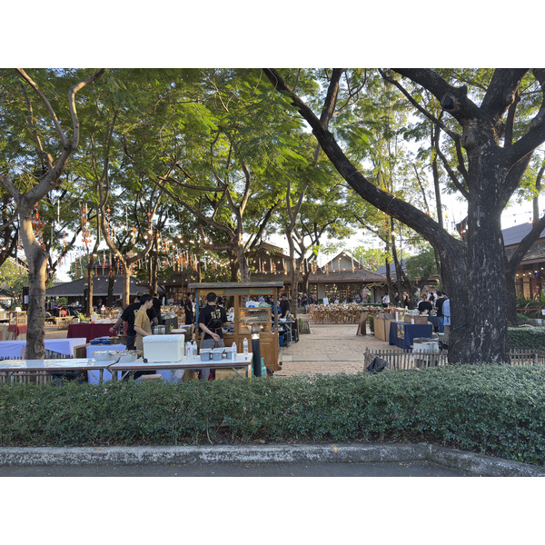 รูปถ่าย ไทย(Thailand) เชียงใหม่(Chiang Mai) 2026-01 3