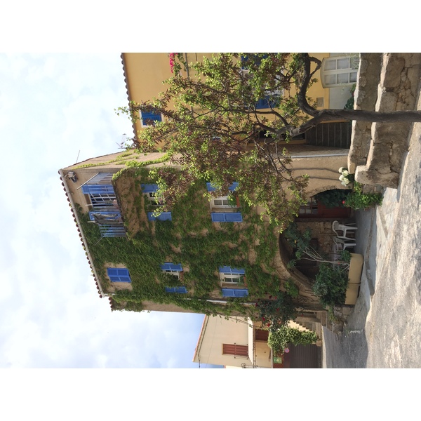 รูปถ่าย ฝรั่งเศส(France) คอร์สิคา(Corsica) อาเรนโญ(Aregno) 2015-05 18