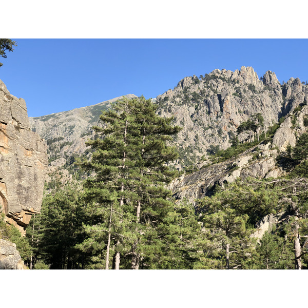 รูปถ่าย ฝรั่งเศส(France) คอร์สิคา(Corsica) หุบเขาลาเรสโตนีกา(La Restonica) 2020-07 134