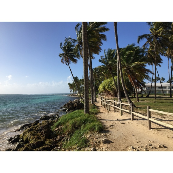 รูปถ่าย กวาเดอลูป(Guadeloupe) หาดลาการาแวล(La Caravelle Beach) 2021-02 19