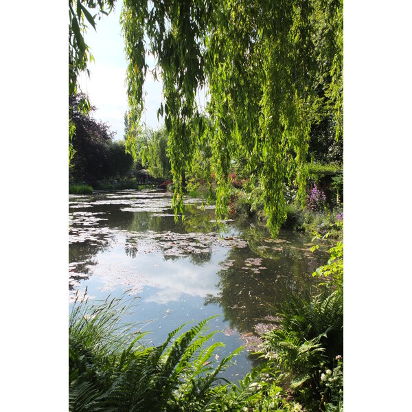 รูปถ่าย ฝรั่งเศส(France) ฌีแวร์นี(Giverny) 2013-06 95