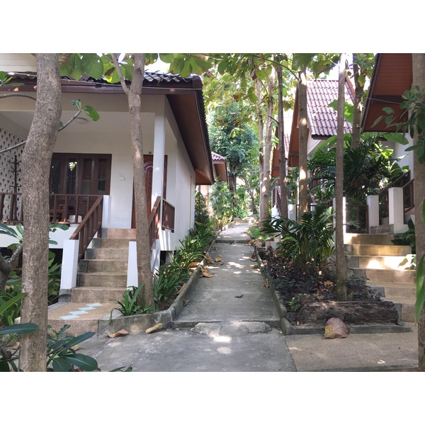 รูปถ่าย ไทย(Thailand) เกาะเสม็ด(Ko Samet) 2014-12 231