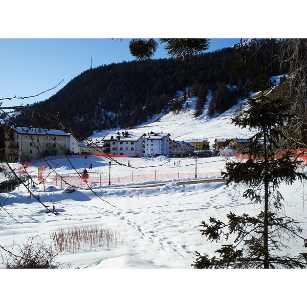 รูปถ่าย สวิสเซอร์แลนด์(Switzerland) เซเลรีน่า(Celerina) 2007-01 11