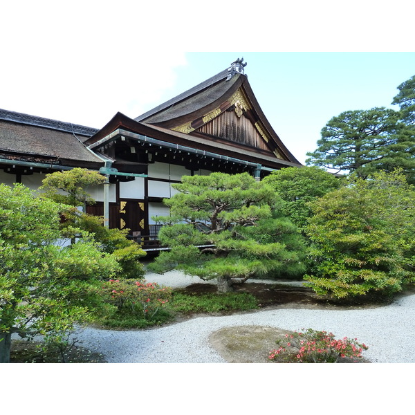 รูปถ่าย ญี่ปุ่น(Japan) เกียวโต(Kyoto) พระราชวังหลวงเกียวโต(Kyoto Imperial Palace) 2010-06 96