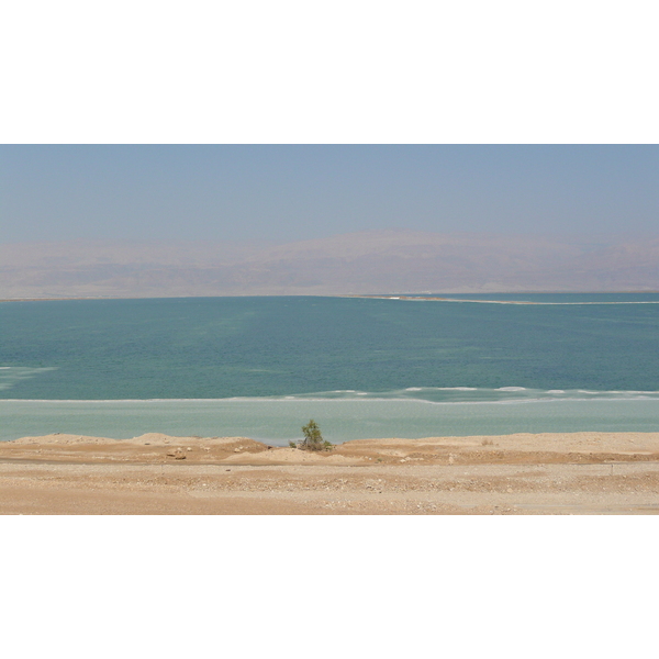 รูปถ่าย อิสราเอล(Israel) อึนโบเกก(Boqeq) 2007-06 95