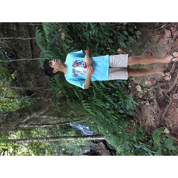 รูปถ่าย ไทย(Thailand) อุทยานแห่งชาติภูหินร่องกล้า(Phu Hin Rong Kla National Park) 2014-12 358