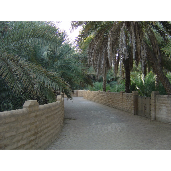 รูปถ่าย สหรัฐอาหรับเอมิเรตส์(United Arab Emirates) อาเลอิน(Al Ain) โอเอซิสอัลไอน์(Al Ain Oasis) 2005-03 3