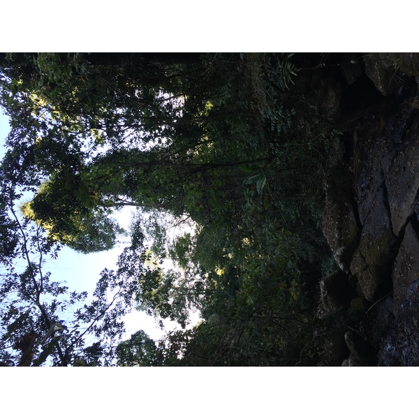 รูปถ่าย ไทย(Thailand) อุทยานแห่งชาติภูหินร่องกล้า(Phu Hin Rong Kla National Park) 2014-12 392