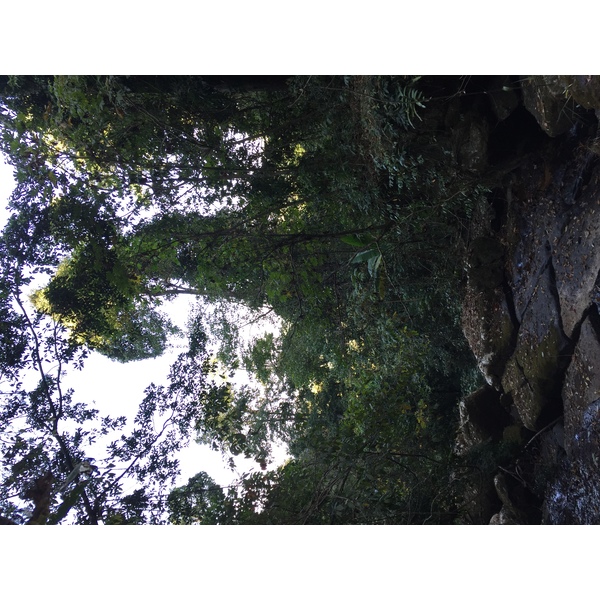 รูปถ่าย ไทย(Thailand) อุทยานแห่งชาติภูหินร่องกล้า(Phu Hin Rong Kla National Park) 2014-12 379