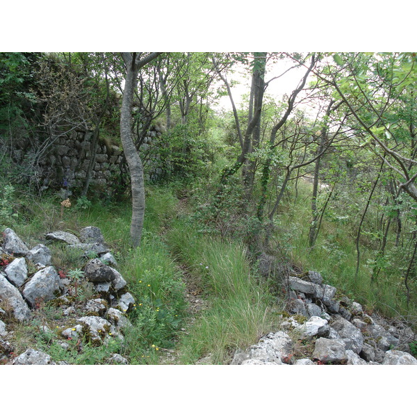 รูปถ่าย ฝรั่งเศส(France) วังซ์(Vence) บาอู(Baou) 2006-06 78