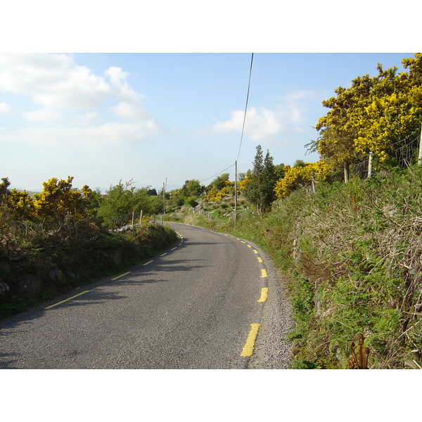 รูปถ่าย ไอร์แลนด์(Ireland) เคอร์รี่(Kerry) ทะเลสาบคารา(Caragh Lake) 2004-05 11