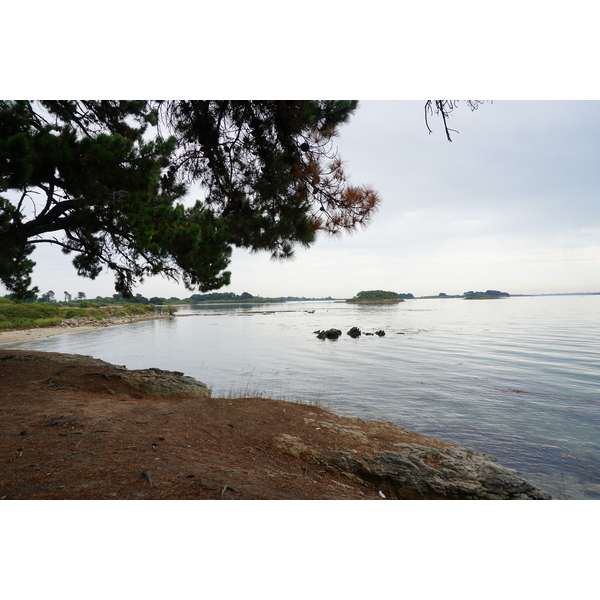 รูปถ่าย ฝรั่งเศส(France) เกาะโอมวน(Ile-aux-Moines) 2016-08 27