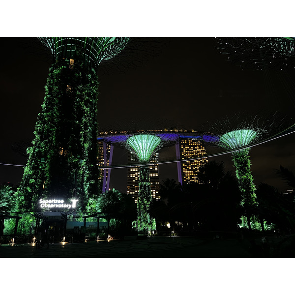 รูปถ่าย สิงคโปร์(Singapore) การ์เดนส์บายเดอะเบย์(Garden by the bay) 2023-01 10