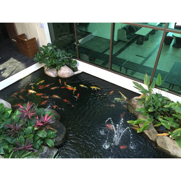 รูปถ่าย ไทย(Thailand) โรงแรมแมริออท ระยอง(Marriott Rayong) 2016-01 145