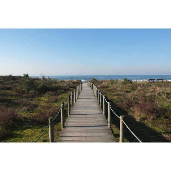รูปถ่าย โปรตุเกส(Portugal) วีอานาดูกัชเตลู(Viana do Castelo) 2013-01 69