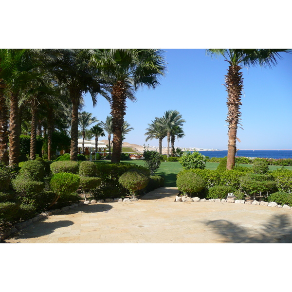 รูปถ่าย อียิปต์(Egypt) ชาร์มเอลชีค(Sharm el Sheikh) โรงแรมโฟร์ซีซันส์(Four Seasons Hotel) หาดโฟร์ซีซันส์(Four Seasons Beach) 2008-06 29
