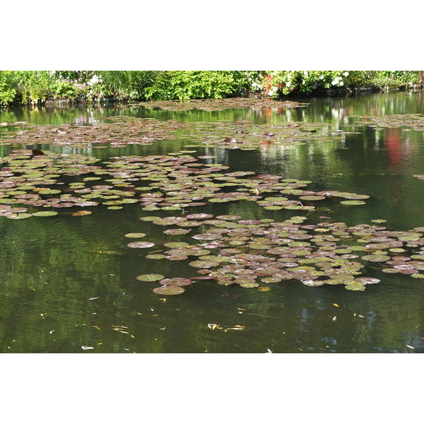 รูปถ่าย ฝรั่งเศส(France) ฌีแวร์นี(Giverny) 2013-06 150