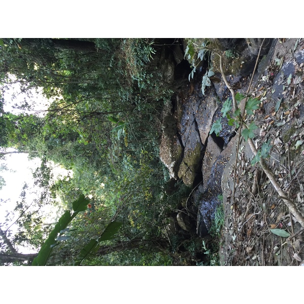 รูปถ่าย ไทย(Thailand) อุทยานแห่งชาติภูหินร่องกล้า(Phu Hin Rong Kla National Park) 2014-12 291
