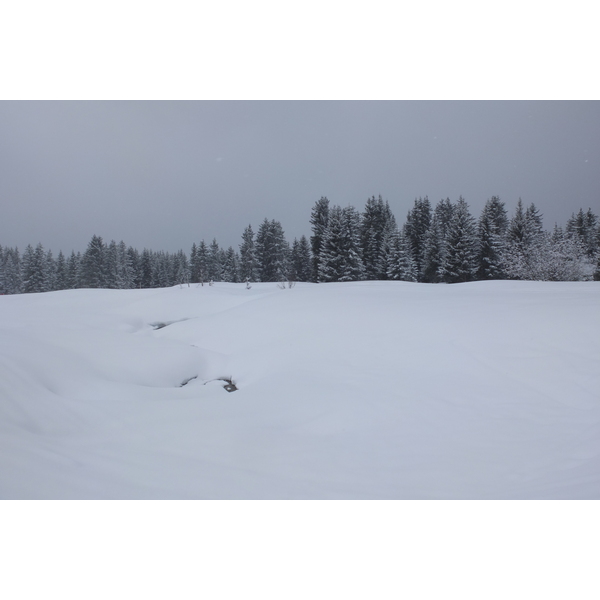 รูปถ่าย ฝรั่งเศส(France) เลทรัววาเล(Les 3 Vallees) 2013-03 75