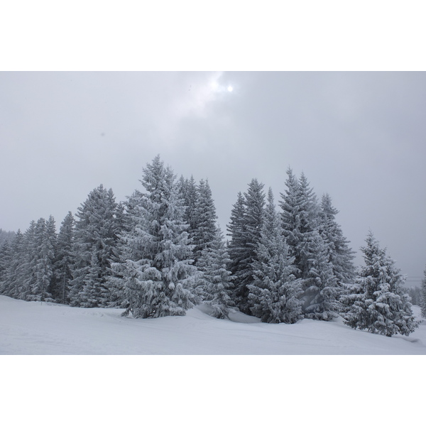 รูปถ่าย ฝรั่งเศส(France) เลทรัววาเล(Les 3 Vallees) 2013-03 102