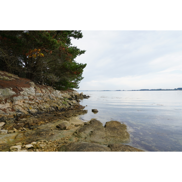 รูปถ่าย ฝรั่งเศส(France) เกาะโอมวน(Ile-aux-Moines) 2016-08 91